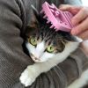 【 犬 猫 ブラシ 】iCat UTTORAJI 夢心地なマッサージブラシ しまネコ