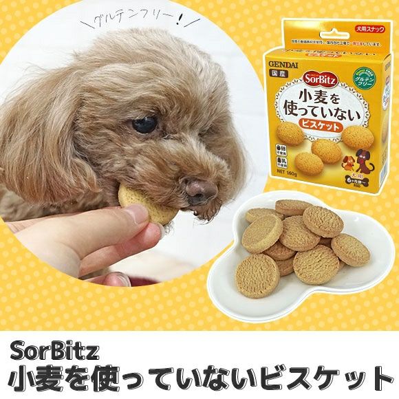 【 犬 おやつ 】GENDAI ソルビッツ 小麦を使っていないビスケット 160g