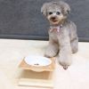 【 犬 猫 食器台 】IDOG&ICAT Keat Grain キートグレイン Sサイズ 木製食器台 フードボウル別売 アイドッグ