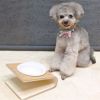 【 犬 猫 食器台 】IDOG&ICAT Keat Grain キートグレイン Sサイズ 木製食器台 フードボウル別売 アイドッグ