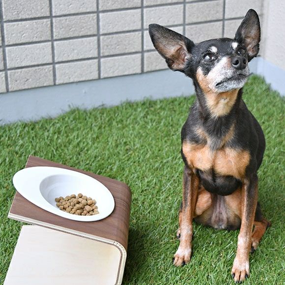 【 犬 猫 食器台 】IDOG&ICAT Keat Grain キートグレイン Lサイズ 木製食器台 フードボウル別売 アイドッグ