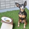 【 犬 猫 食器台 】IDOG&ICAT Keat Grain キートグレイン Lサイズ 木製食器台 フードボウル別売 アイドッグ