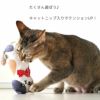 iCatケリケリおこニャンキャットニップとカシャカシャ入りアイキャット