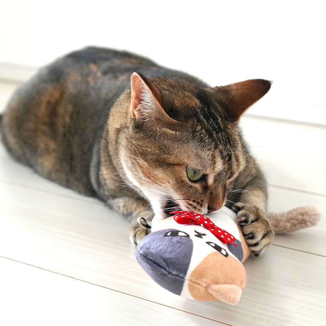 にゃんこが夢中になるぬいぐるみ猫用おもちゃ