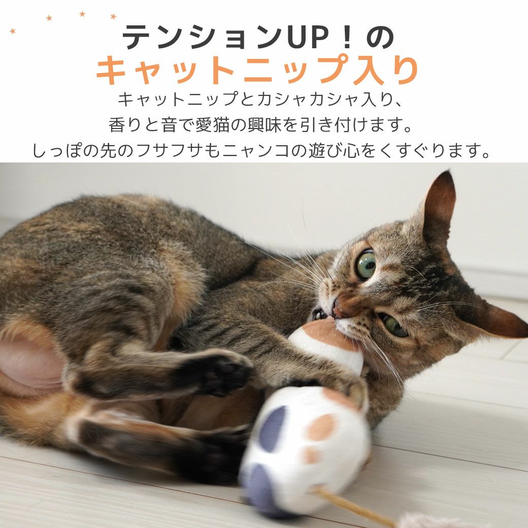 キャットニップとカシャカシャ入り