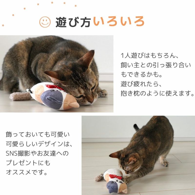 iCat ケリケリおこニャン キャットニップとカシャカシャ入り アイ
