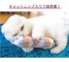 【 猫 おもちゃ 】iCat iToy ケリケリ まりたん キャットニップとカシャカシャ入り アイキャット