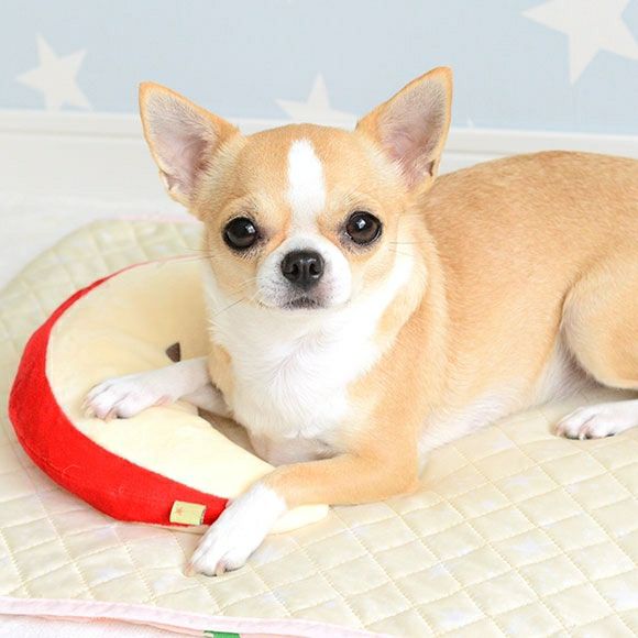 【 犬 猫 枕 】IDOG&ICAT もぐもぐピロー アイドッグ