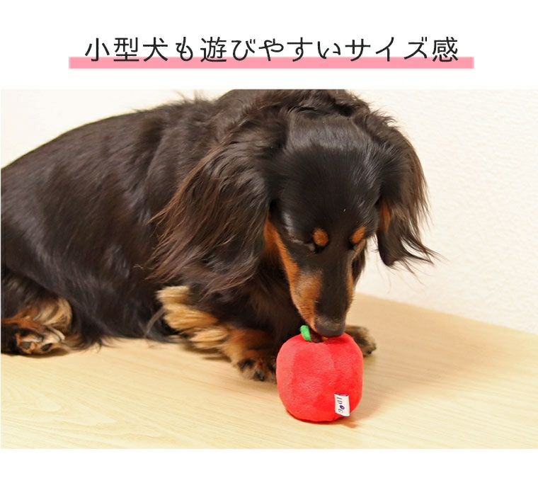 りんごいぬ 楽天市場】【お買い物マラソン セール ☆20％OFF】【 犬
