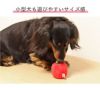 【 犬 おもちゃ 】iDog りんごボール 鈴入り アイドッグ