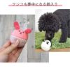 【 犬 おもちゃ 】iDog アニマルボール 鈴入り  アイドッグ