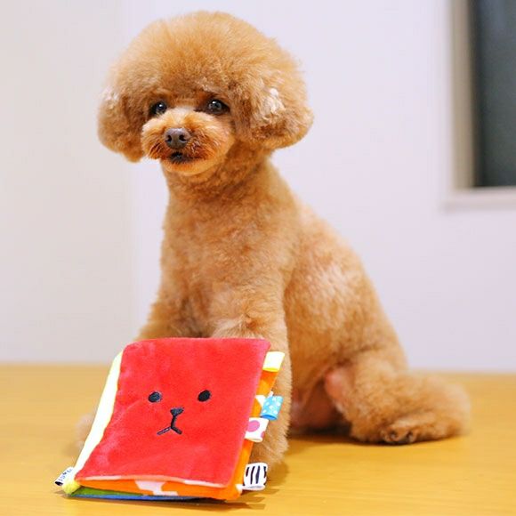 【 犬 おもちゃ 】iDog ワンコのえほん カシャカシャ入り アイドッグ メール便OK