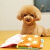 【 犬 おもちゃ 】iDog ワンコのえほん カシャカシャ入り アイドッグ メール便OK