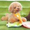 【 犬 おもちゃ 】iDog ワンコのえほん カシャカシャ入り アイドッグ メール便OK