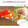 【 犬 おもちゃ 】iDog ワンコのえほん カシャカシャ入り アイドッグ メール便OK