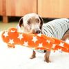 【 犬 おもちゃ 】iDog 森の仲間たち カシャカシャ入り アイドッグ