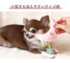 【 犬 おもちゃ 】iDog 夜空のおもちゃ 鳴き笛入り アイドッグ メール便OK