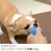 【 犬 猫 おもちゃ 】IDOG&ICAT スマイルトリオ 3色セット アイドッグ