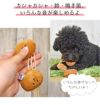 【 犬 おもちゃ 】iDog のびのびなっとう 鈴とカシャカシャと鳴き笛入り アイドッグ