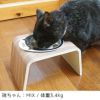 【 犬 猫 フードボウル 】IDOG&ICAT ドゥーエッグフードボウル浅皿 キャットフェイス