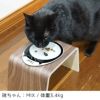 【 犬 猫 フードボウル 】IDOG&ICAT ドゥーエッグフードボウル浅皿 キャットフェイス