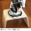 【 犬 猫 フードボウル 】IDOG&ICAT ドゥーエッグフードボウル浅皿 キャットフェイス