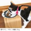 【 犬 猫 フードボウル 】IDOG&ICAT ドゥーエッグフードボウル浅皿 キャットフェイス