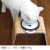 【 犬 猫 フードボウル 】IDOG&ICAT ドゥーエッグフードボウル浅皿 キャットフェイス