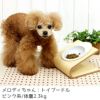 【 犬 猫 フードボウル 】IDOG&ICAT ドゥーエッグフードボウル スマイルランチ