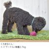 【 犬 おもちゃ 】IDOG&ICAT コマメブラザーズ 3色セット アイドッグ