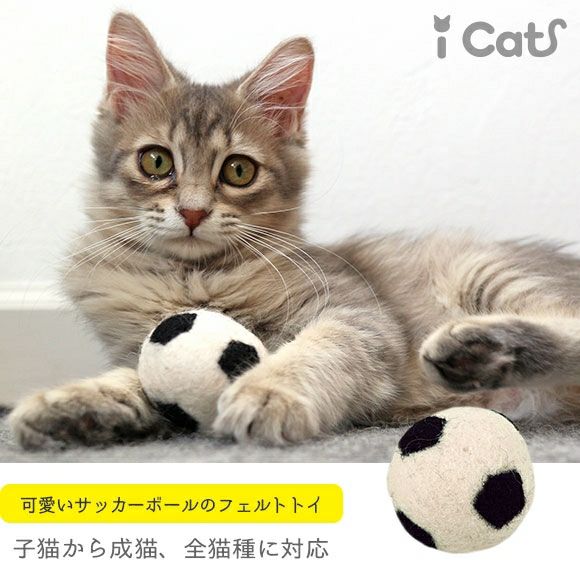 【 猫 おもちゃ 】iCaTOY コロコロフェルトTOY サッカーボール