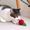 【 猫 おもちゃ 】iCaTOY コロコロフェルトTOY りんご