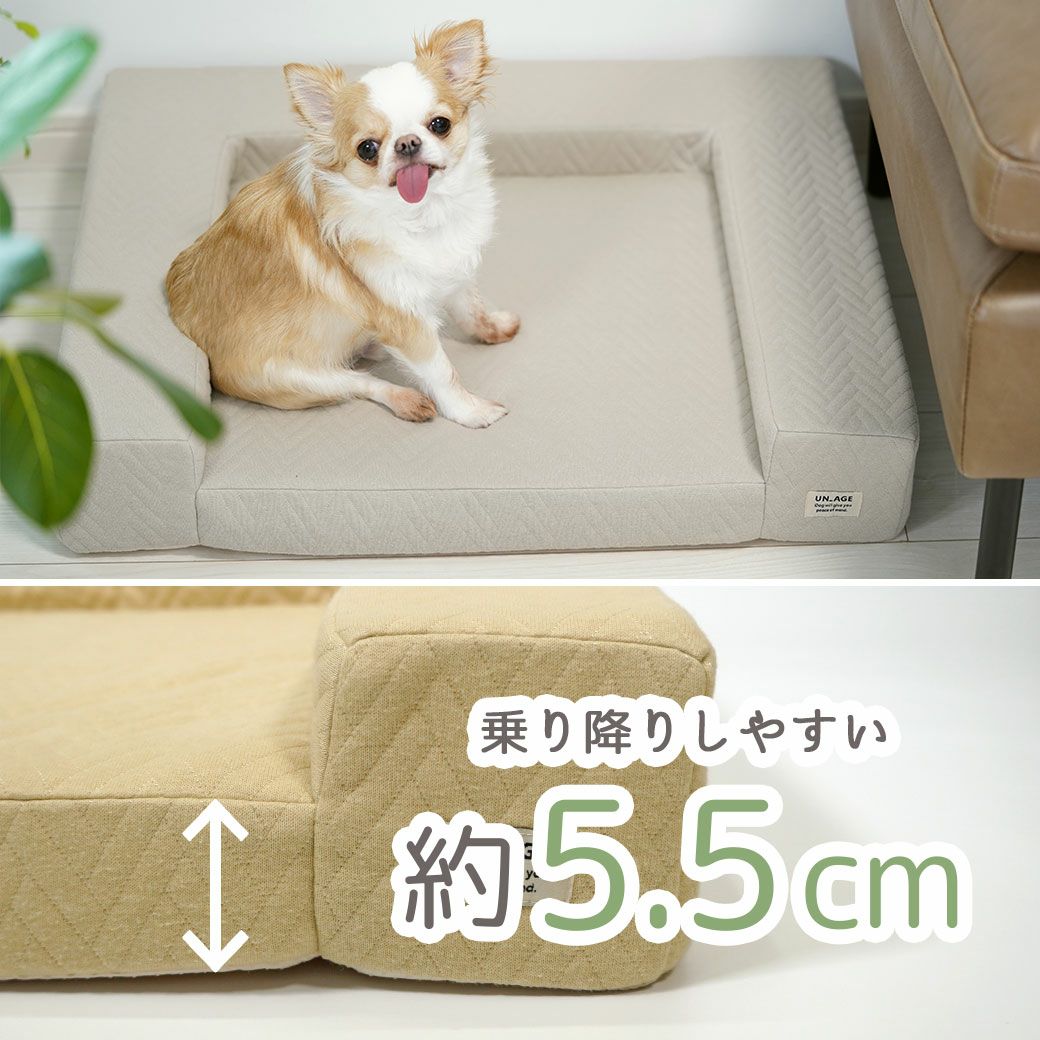 シニアに優しい低くて広い座面