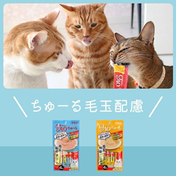 【 猫 おやつ 】CIAO チャオ 液状猫おやつ ちゅーる ちゅ～る 毛玉配慮 メール便OK