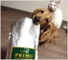 【 犬 ドッグフード 】プリモ PRIMO ベーシック 3kg