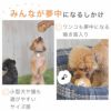 みんなが夢中になるしかけ