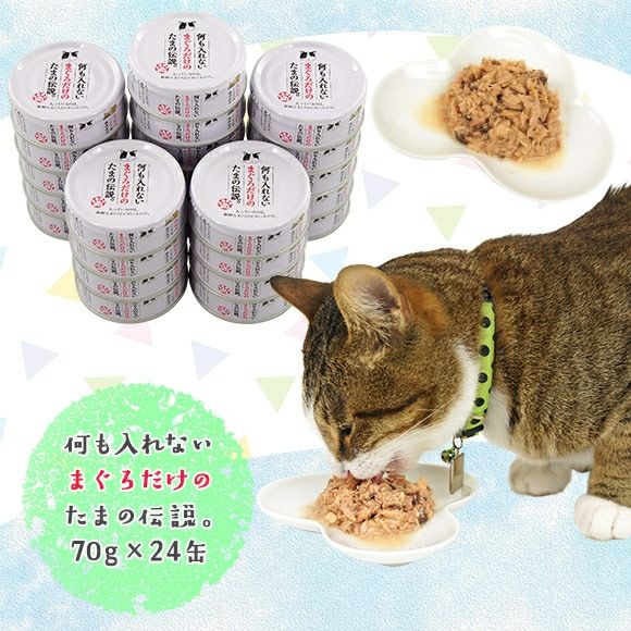 【 猫 キャットフード 】プリンピア 何も入れないまぐろだけのたまの伝説 70g缶【24缶セット】