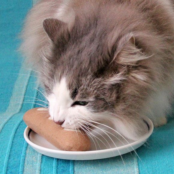 まずはお皿に盛り付けてはぐはぐ