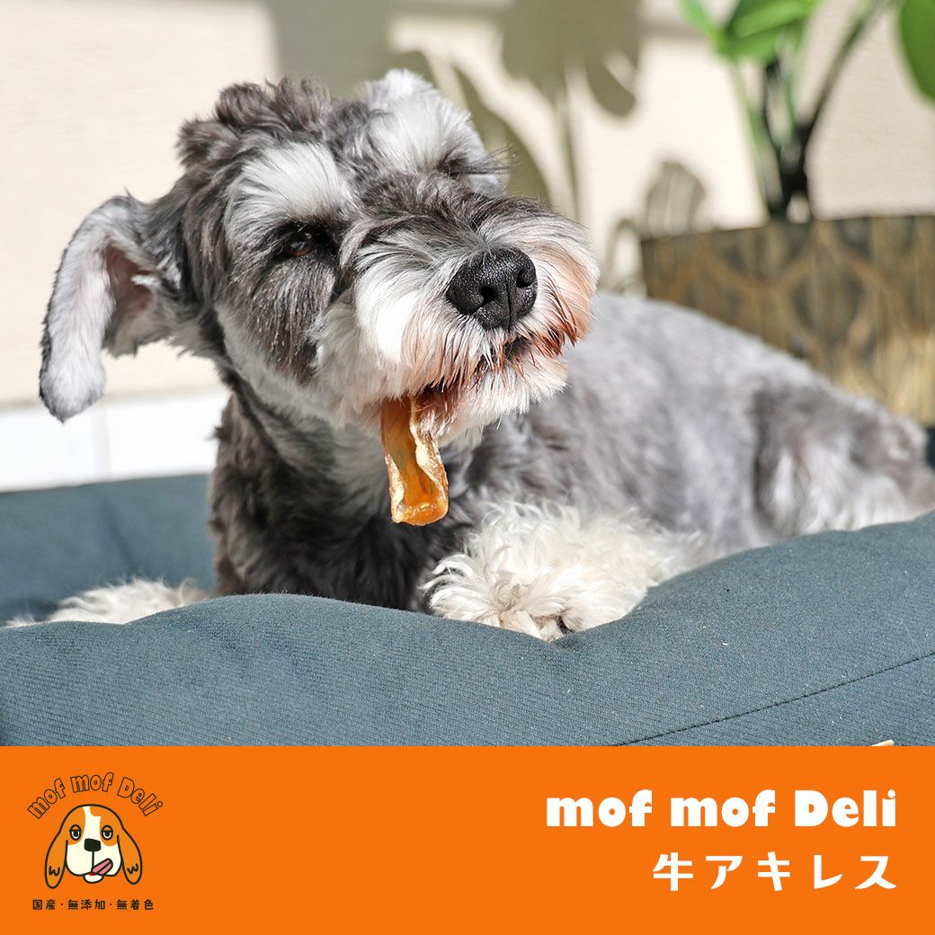 mofmofDeli牛アキレス50gモフモフデリ