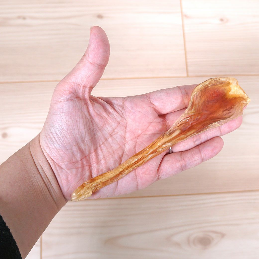 手に持った状態