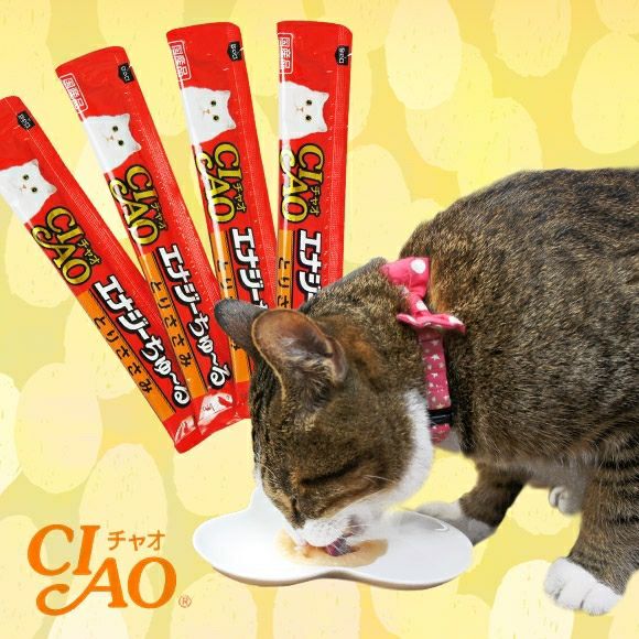 【 猫 キャットフード 】CIAO チャオ 液状猫おやつ エナジーちゅーる ちゅ～る メール便OK
