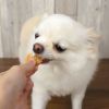 【 犬 おやつ 】米麹漬け 米沢郷の鶏のムネ肉ジャーキー