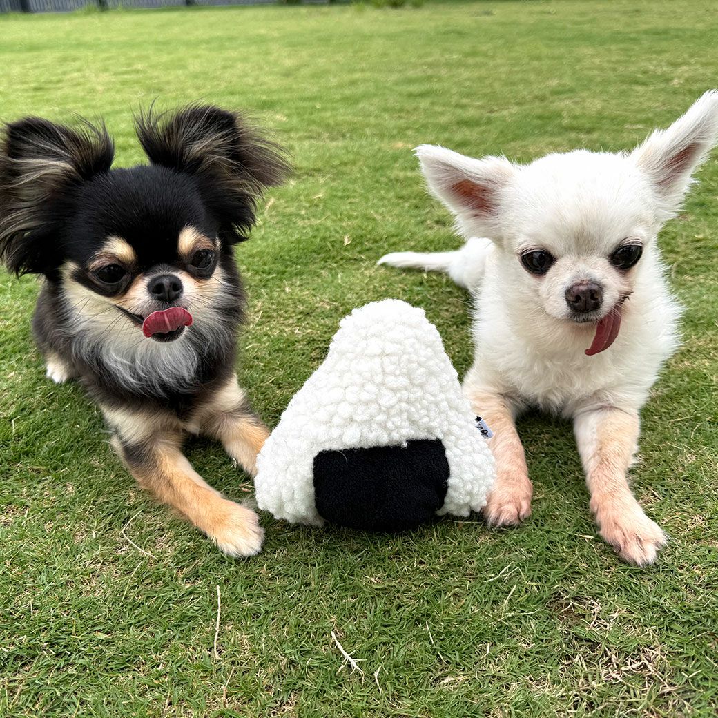 美味しそうなおにぎりの犬おもちゃ