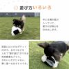 【 犬 おもちゃ 】iDog iToy ないしょのポケット ふっくらおにぎり 鳴き笛入り