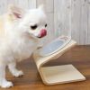 【 フードボール 犬 】IDOG&ICAT オリジナル ドゥーエッグフードボウル 星とわんこ