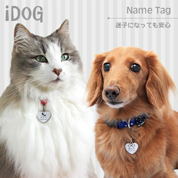 【 迷子札 犬 猫 】IDOG&ICAT ネームタグ 迷子札ハート型 モノクロ メール便OK