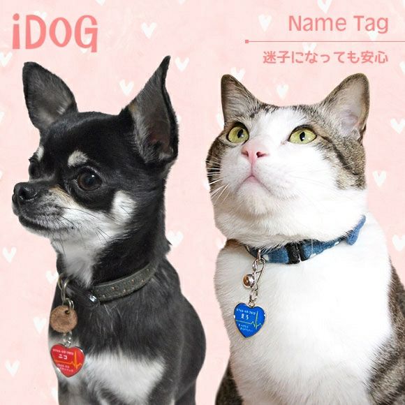 【 迷子札 犬 猫 】IDOG&ICAT ネームタグ 迷子札ハート型 心電図 メール便OK