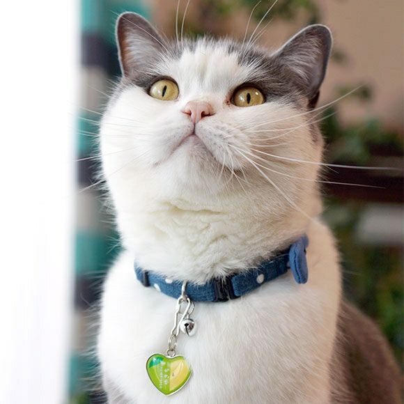 【 迷子札 犬 猫 】IDOG&ICAT ネームタグ 迷子札ハート型 りんご メール便OK