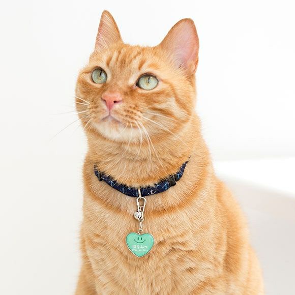 【 迷子札 犬 猫 】IDOG&ICAT ネームタグ 迷子札ハート型 スマイル メール便OK