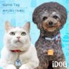 【 迷子札 犬 猫 】IDOG&ICAT ネームタグ 迷子札角丸 洋服 メール便OK